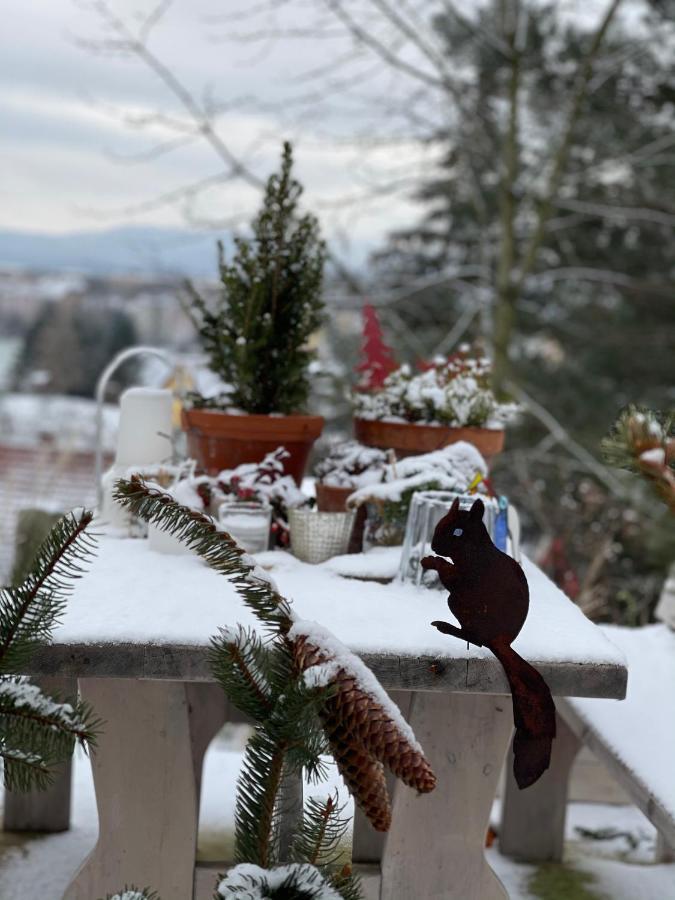 Farmhouse Eckartsberg Im Zittauer Gebirge - Ferienwohnung Mit 2 Schlafzimmern, Terrasse Und Wallbox Mittelherwigsdorf 外观 照片